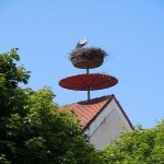 20130616.160302-DSCN3951-sm