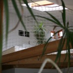 IMG_3837-sm