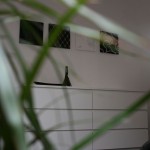 IMG_3838-sm